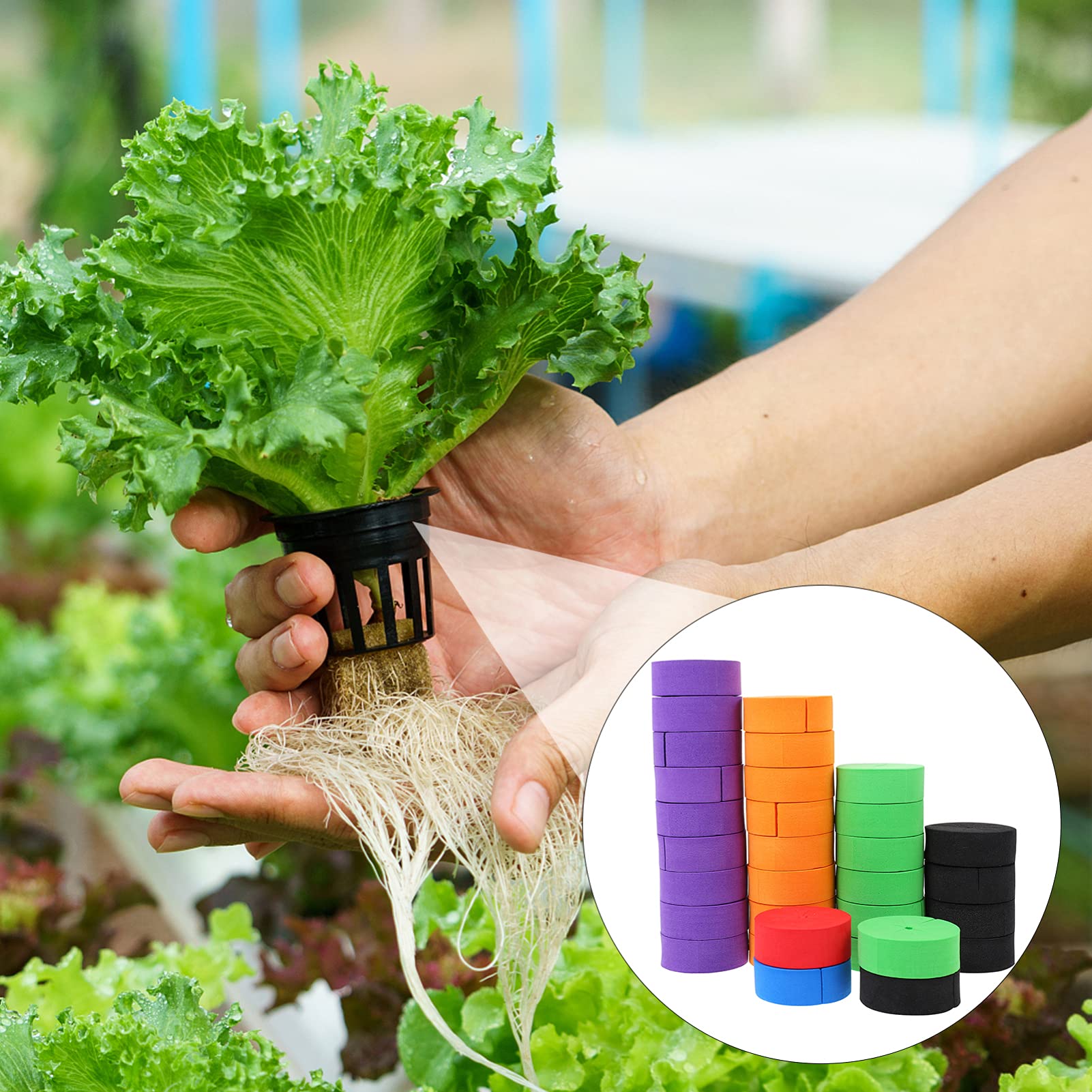GANAZONO 100 Pcs Garden Clone Collars - Round EVA Plant Support Rings for Hydroponics, Seedlings & Plant Propagation - Perfect for Indoor Gardening, Greenhouse & Vertical Farming