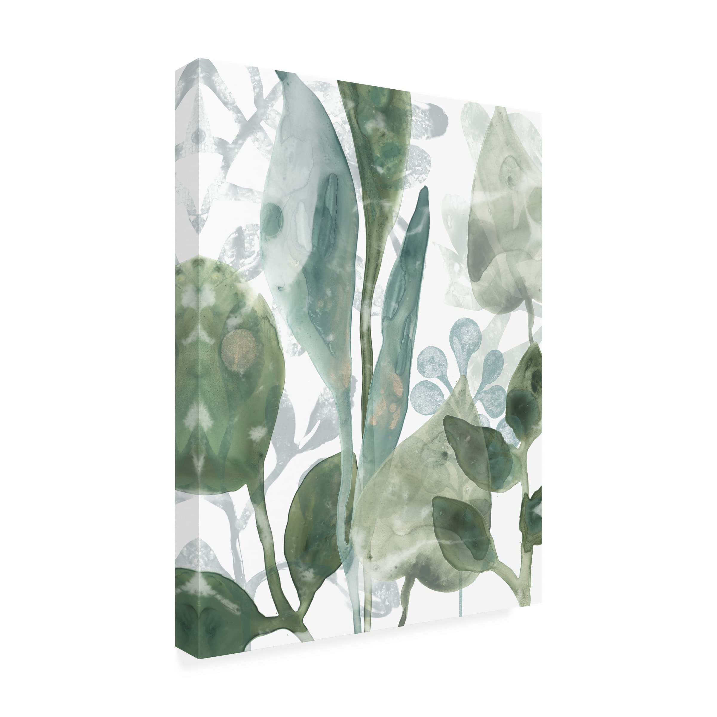 Trademark Fine Art 'Aquatic Leaves III' Canvas Wall Art by June Erica Vess - Modern Botanical Painting for Living Room, Bedroom & Office Decor
