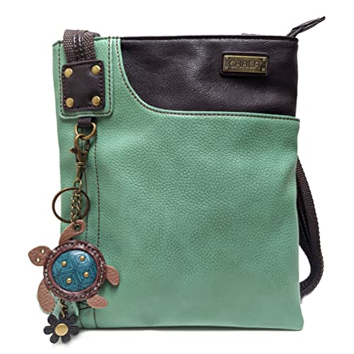 Light Teal _ Mini Turtle