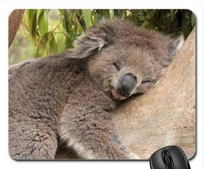 Flying Pig Men Bear Koala Mouse Pad - Cute Animal Design Gaming Mousepad for Office & Home Use - Perfect for Computers, Laptops, and Workstations