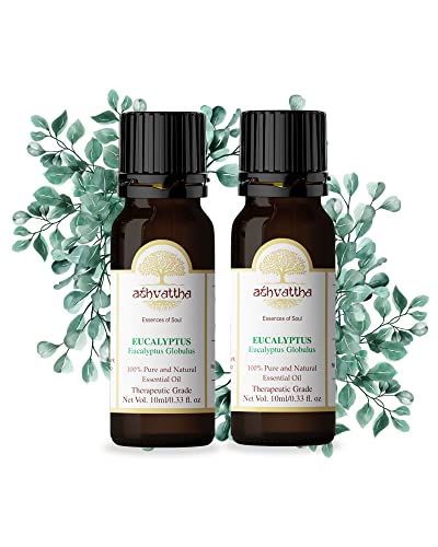 Eucalyptus