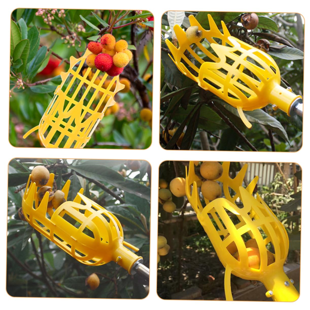 Cabilock Fruit Picker Tool with Basket & Extension Pole - Easy Assemble Lightweight Fruit Harvester for Apple, Orange, Peach Picking - Perfect for Home Garden, Orchard Harvesting & Tall Tree Fruit Collection