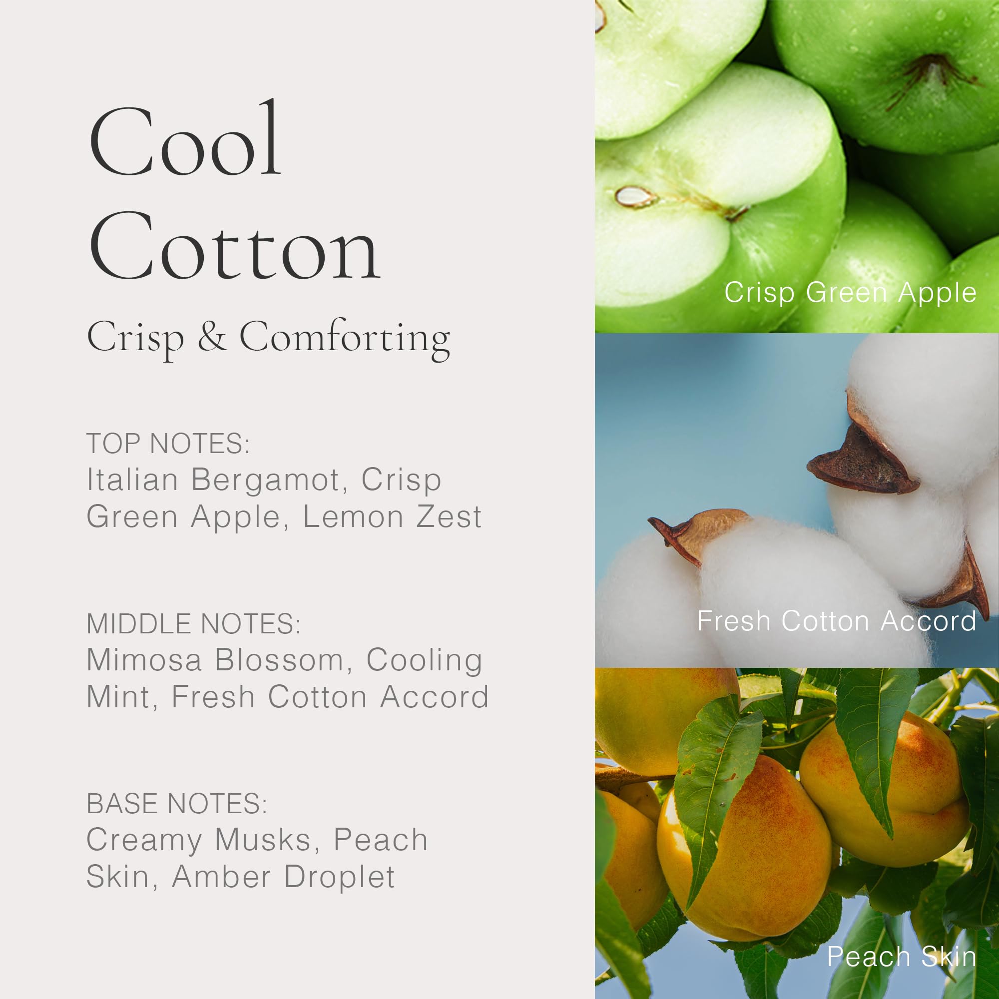 Clean Beauty Classic Cool Cotton Eau de Parfum 60ml - Fresh Floral Scent for Women & Men, Long-Lasting Perfume for Daily Wear, Office, Date Night & Special Occasions