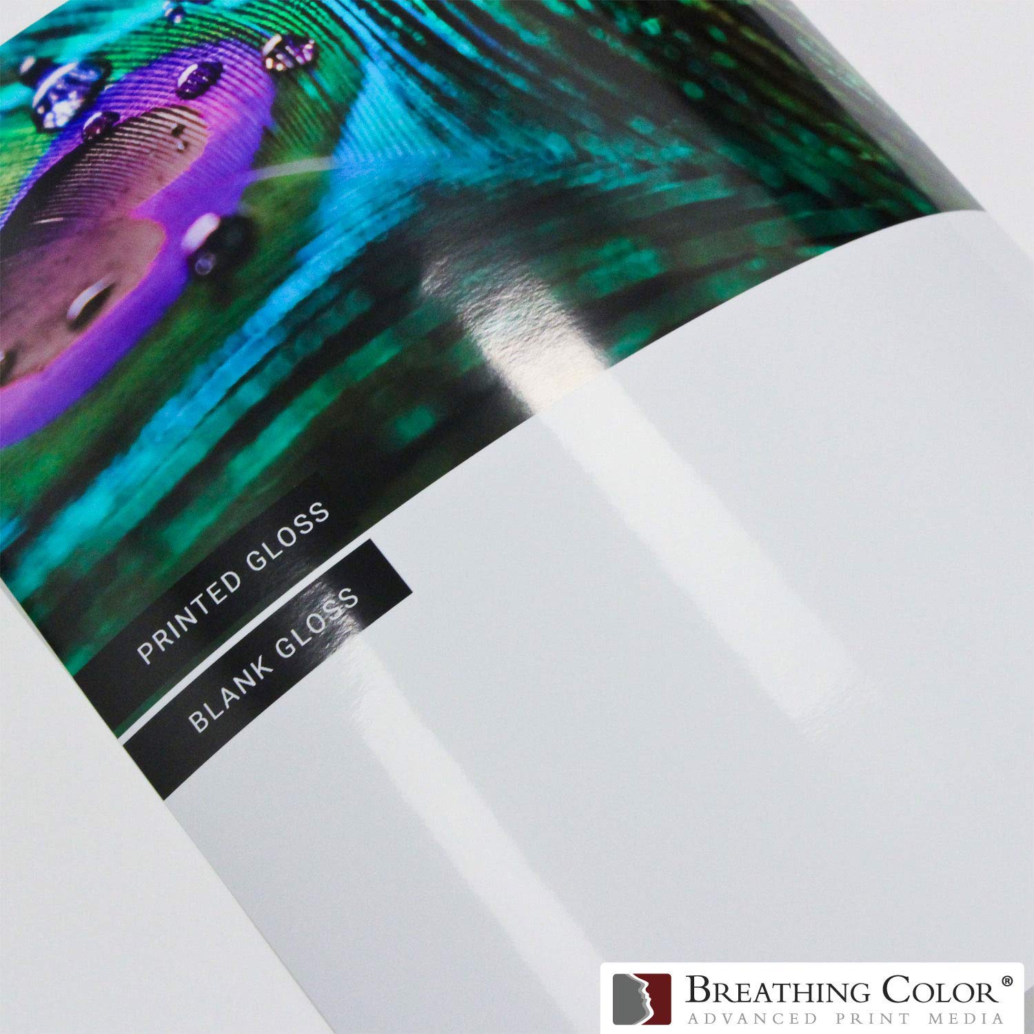 Vibrance Gloss Photo Printer Paper - 10 mil 255 gsm Glossy Finish Premium Photo Paper Roll (3