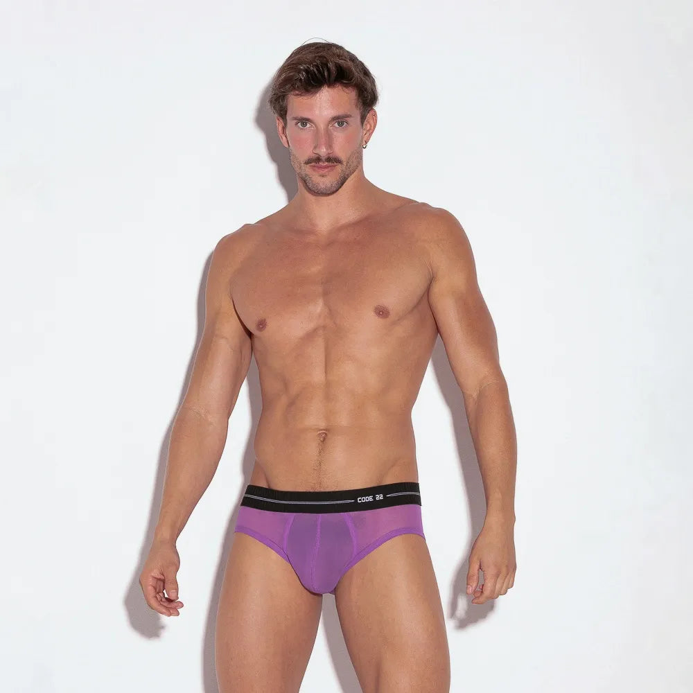 Code 22 Sheer Mesh Brief Underwear - Comfortable Women's Lingerie in Grape Color for Daily Wear & Special Occasions