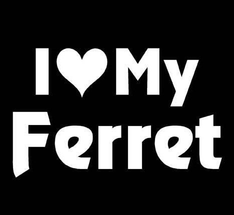 I Love My Ferret Heart Decal Sticker - Die Cut Vinyl Decal for Windows, Cars, Trucks, Tool Boxes, Laptops, MacBooks - Perfect for Pet Lovers & Ferret Enthusiasts - Great for Home, Office, School & Personalizing Your Belongings