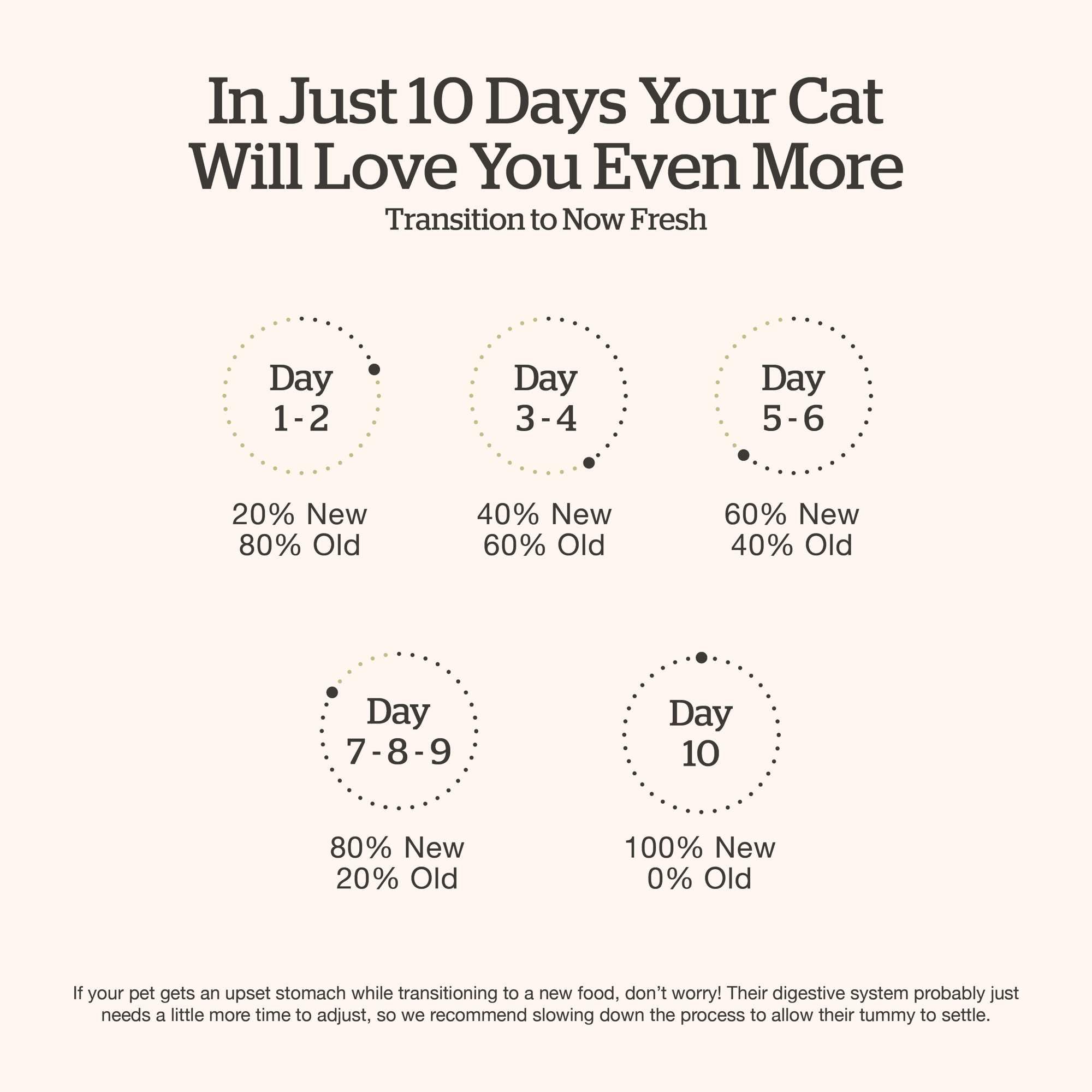 Now Fresh Grain-Free Dry Cat Food - Turkey, Salmon & Duck Recipe for Adult Cats - 16 lb Bag - High Protein Kibble with Real Meat & Fish - Perfect for Indoor & Outdoor Cats