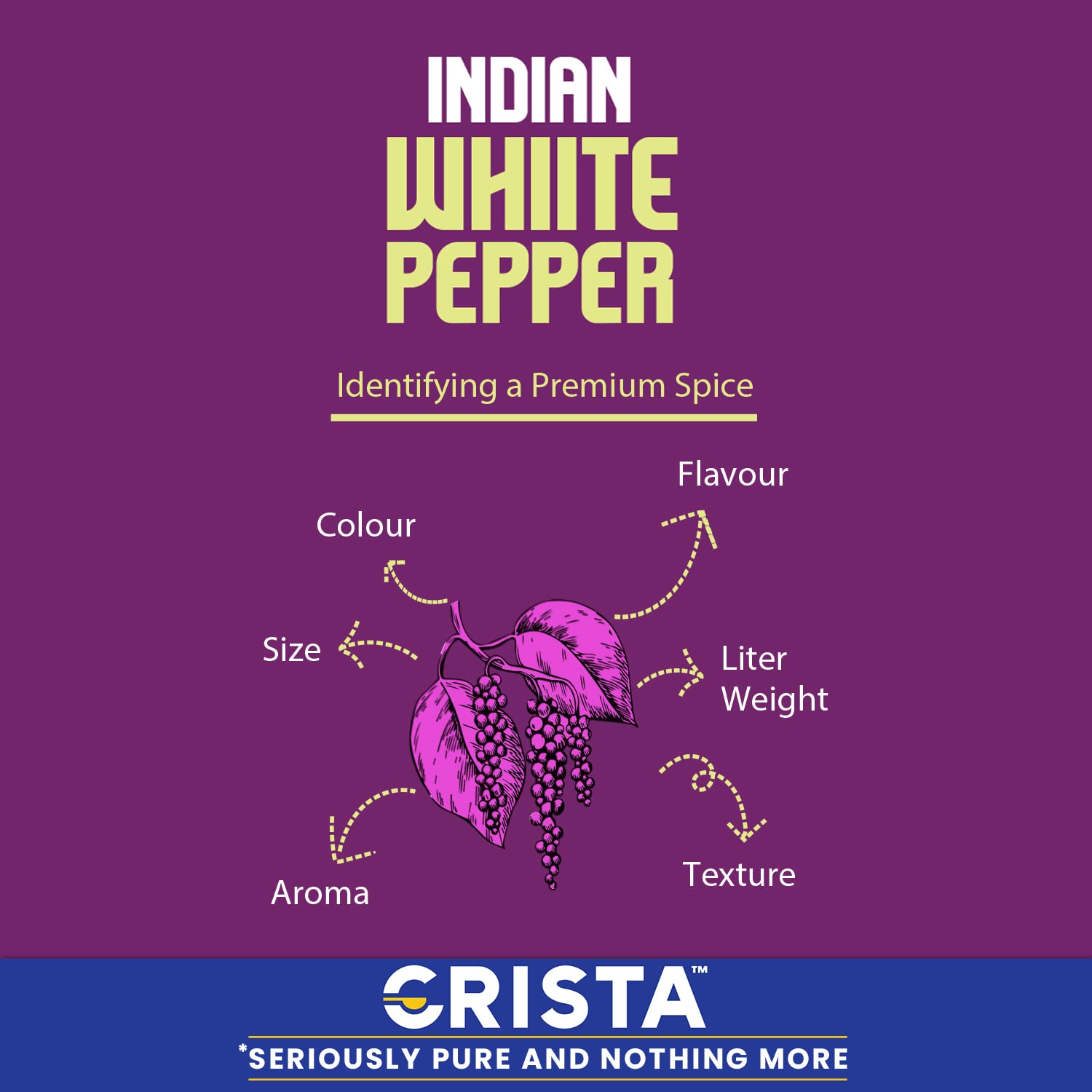 Premium White Pepper Seeds (Safed Mirch Sabut) - High Volatile Oil Content, 100% Natural, No Additives or Preservatives - Farm Fresh Dried Spice - 50g for Cooking, Baking & Gourmet Dishes