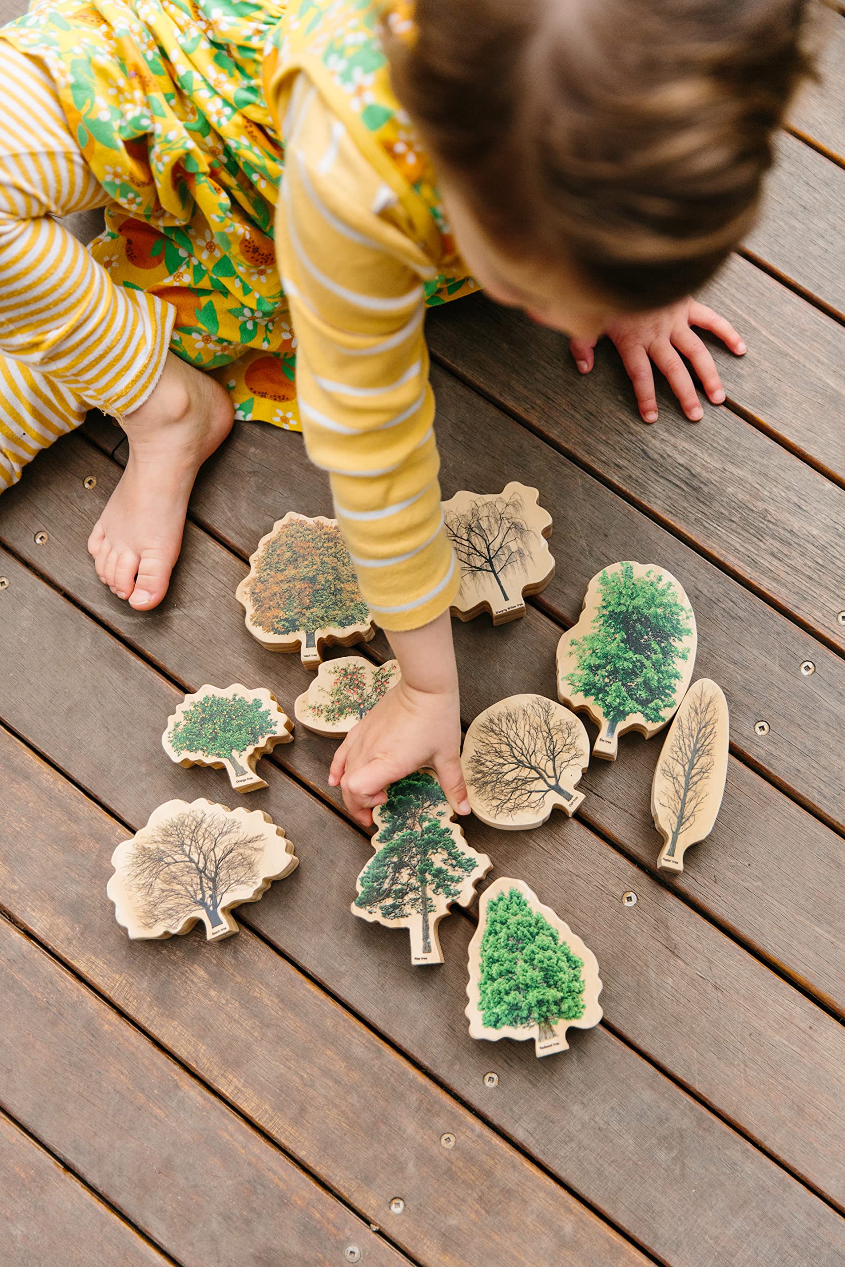 4 Seasons Wooden Tree Decor - Handcrafted Home & Office Decoration for Spring, Summer, Fall, Winter | Perfect for Table Centerpiece, Shelf Display, and Seasonal Gift Giving