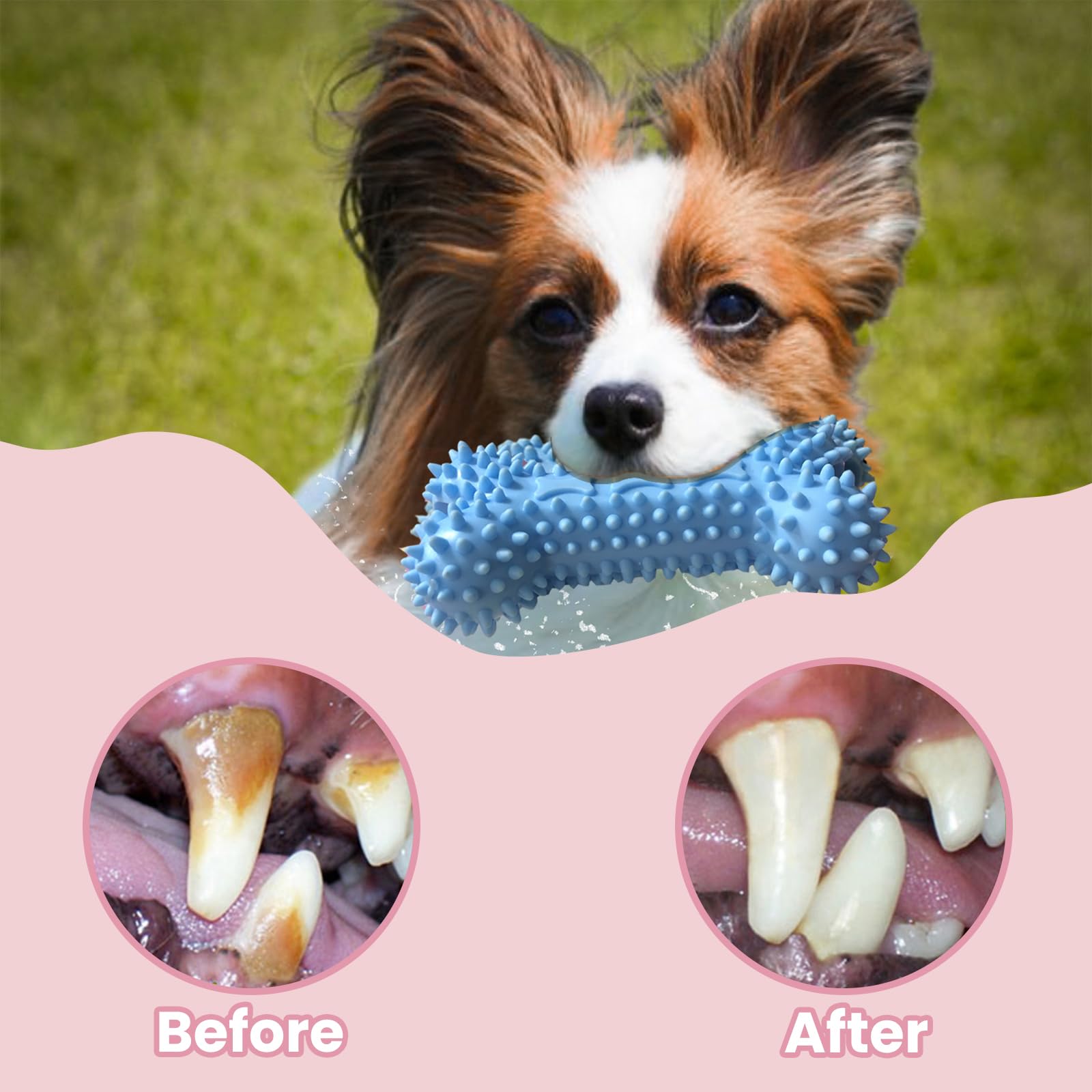 **Durable Puppy Teething Toys for Small & Medium Dogs – Natural Rubber & Cotton Chew Toys to Soothe Pain & Anxiety – 4-Pack (Blue) – Perfect for Puppy Training & Playtime**
