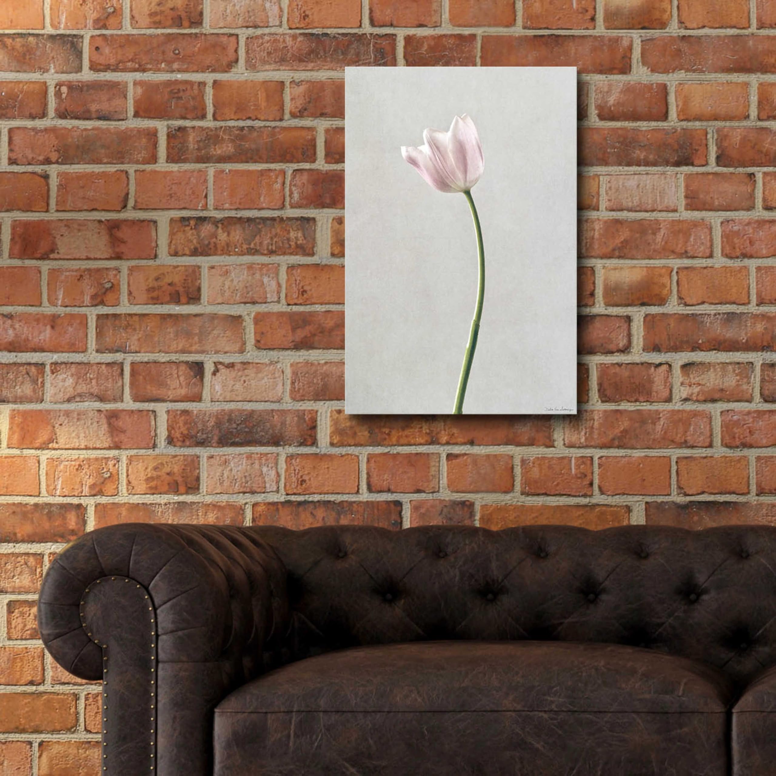 Light Tulips I Acrylic Glass Wall Art by Debra Van Swearingen - 16x24 Inches Modern Floral Painting for Living Room, Bedroom & Office Decor