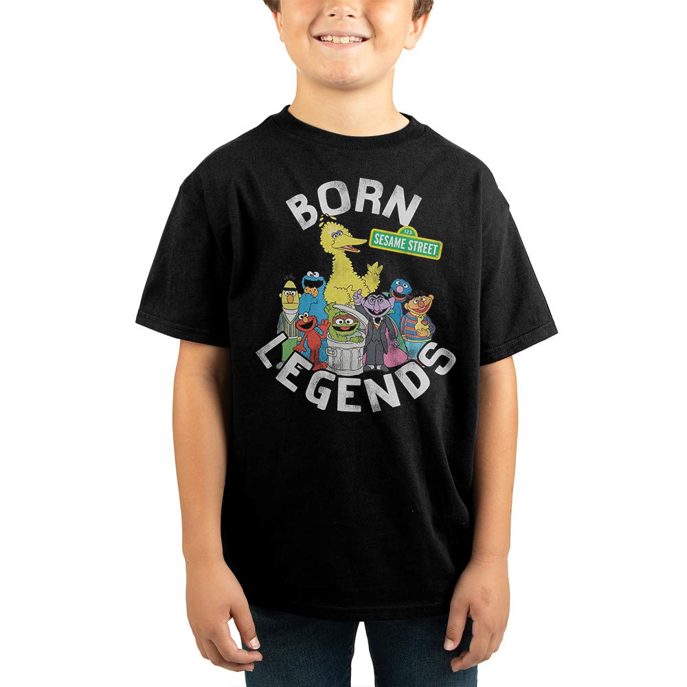 Sesame Street Big Bird Graphic T-Shirt for Boys - Black Cotton Youth Tee - Perfect for School, Playdates, and Casual Outings