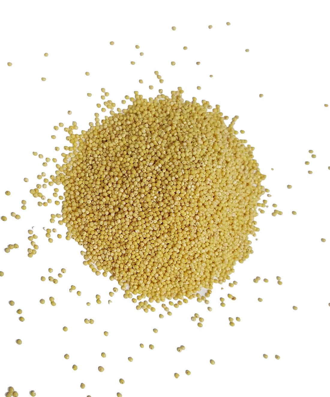 Organic Millet Whole Grain Seeds - Non-GMO, Gluten-Free, USA Grown, Bulk Raw - Perfect for Baking, Healthy Snacks & Bird Feed