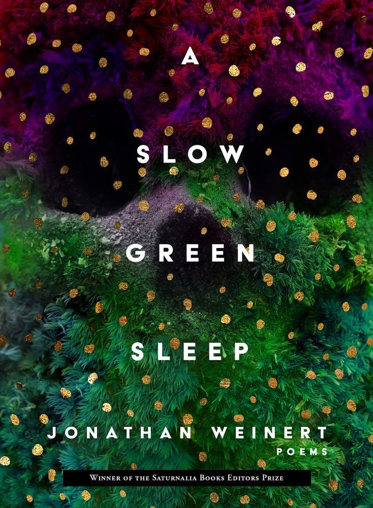 Slow Green Sleep - Organic Herbal Tea for Relaxation & Better Sleep | Perfect for Stress Relief & Nighttime Rituals
