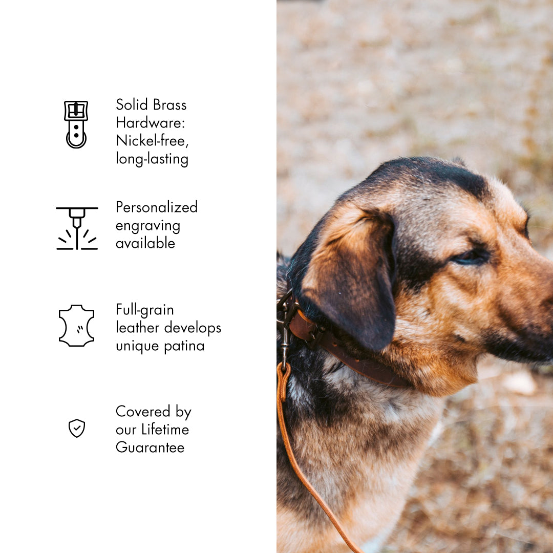 Premium Genuine Leather Dog Collar - Adjustable & Durable Pet Collar for Small Medium Large Dogs - Perfect for Walking, Training & Outdoor Adventures