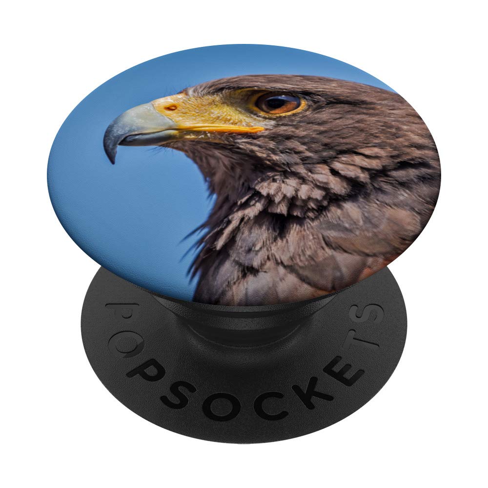 Hawk PopSockets PopGrip - Interchangeable Phone Grip Stand for iPhone, Samsung & Tablets | Perfect for Selfies, Video Calls & Secure Holding