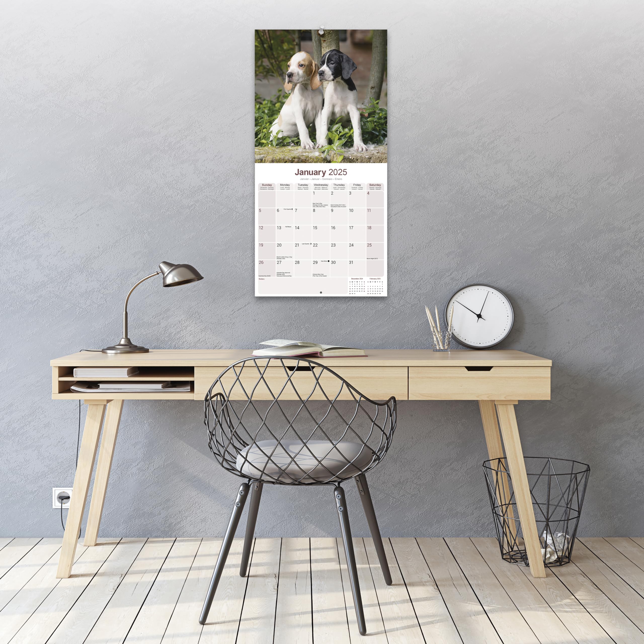 Pointer Dog Breed 2025-2026 Wall Calendar | 16-Month Square Planner for Dog Lovers - Perfect for Home, Office & Gifts