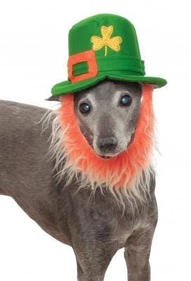 St. Patrick's Day Dog Hat with Beard - Fun Pet Costume for Irish Festivals & Parades