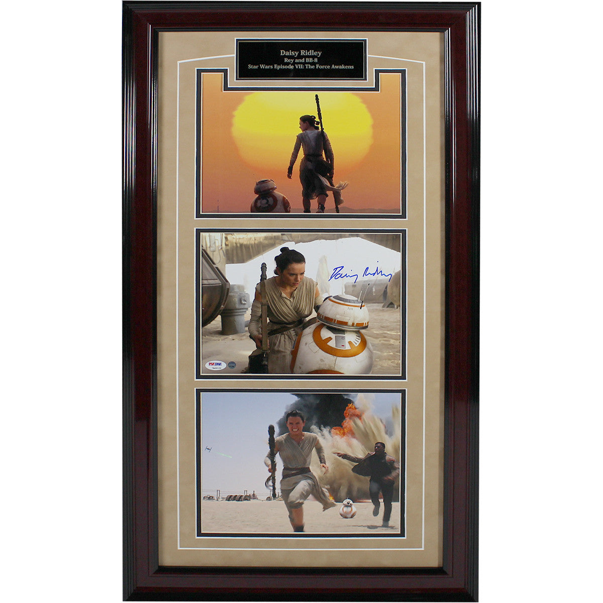 Daisy Ridley Autographed Rey and BB-8 Star Wars 3-Photo Collage with Nameplate (14x29) - Perfect for Star Wars Fans, Collectors & Home Theater Decor