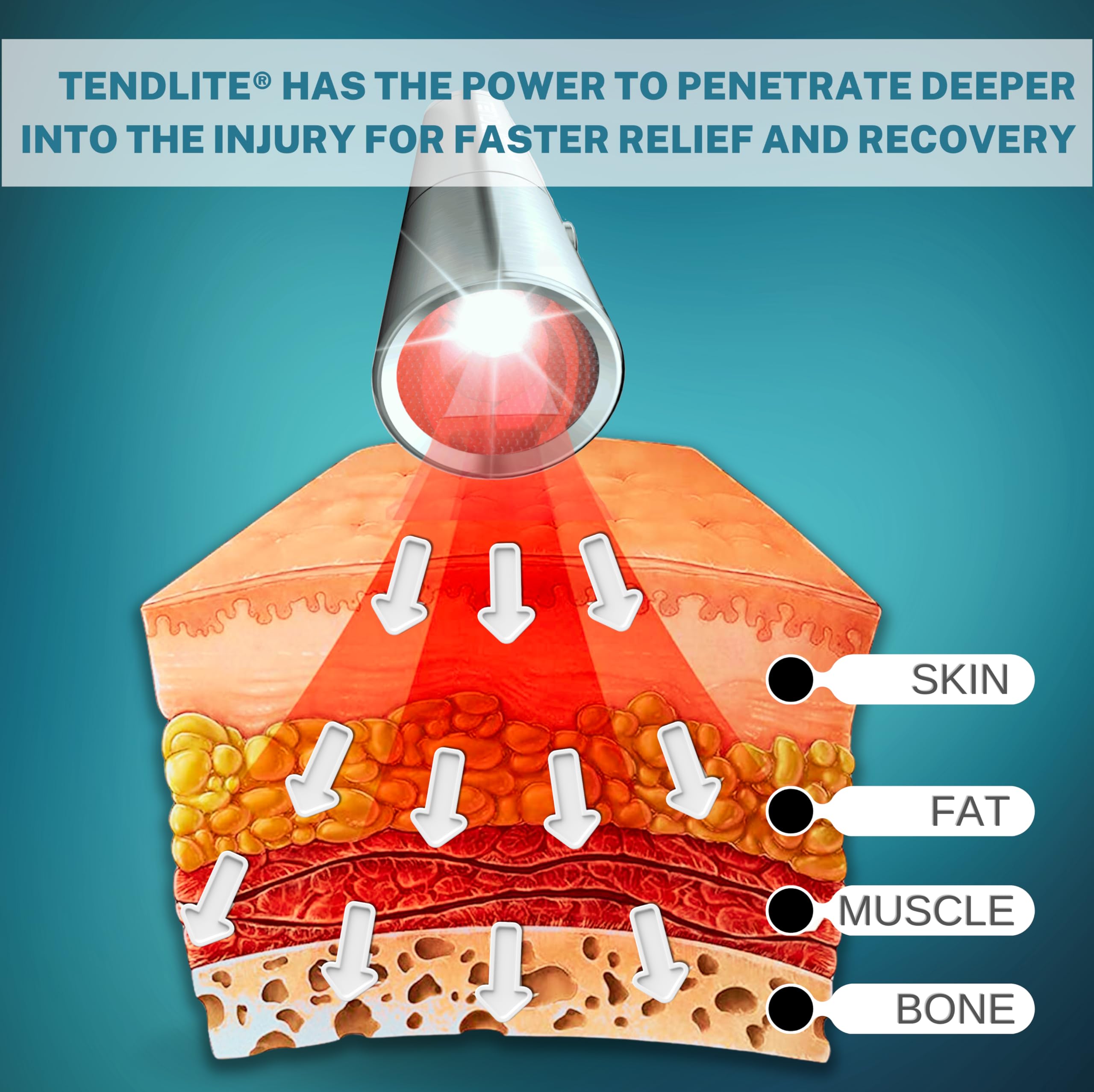 TENDLITE SHINE Professional Red Light Therapy Device - 660nm LED for Joint & Muscle Pain Relief | Clinical Grade Home Treatment | Fast Recovery for Athletes & Chronic Pain | Perfect for Post-Workout & Arthritis Care