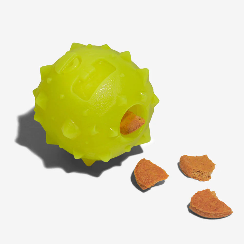 Rob The Microbe Interactive Dog Toss Toy by Zee.Dog - Fun Fetch & Chew Toy for Small & Medium Dogs, Perfect for Indoor & Outdoor Play