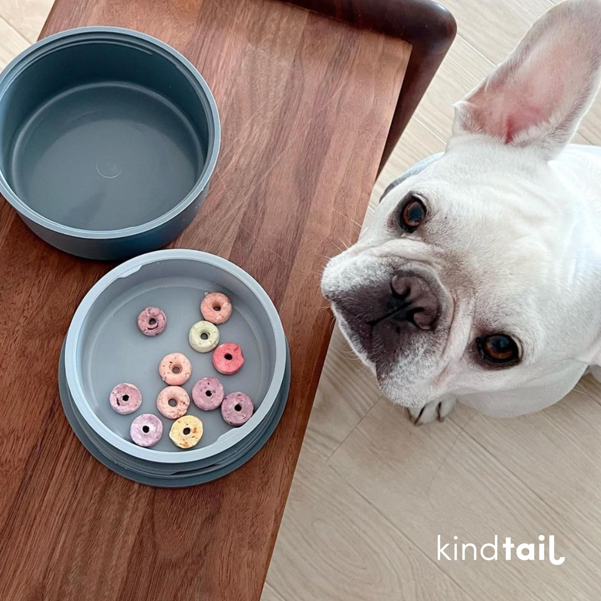 KindTail Portable Pet Feeder - Travel Dog Bowls with Lid & Handle, Microwave & Dishwasher Safe (10oz Inner & 20oz Outer Bowl) - Grey - Perfect for Hiking, Camping & Road Trips
