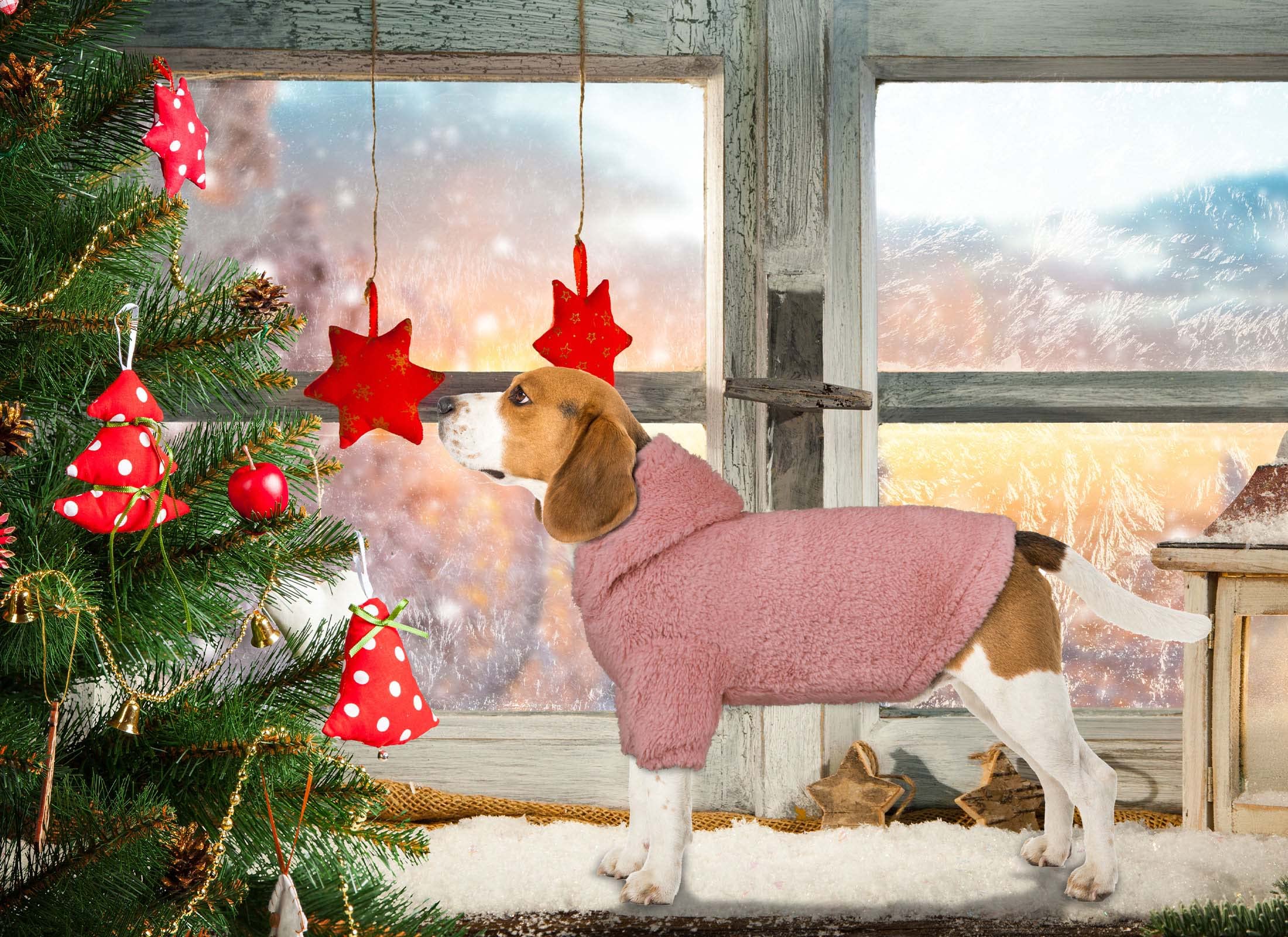 Soft Cozy Fleece Hooded Dog Sweater for Medium Dogs - Warm Fuzzy Dog Hoodie, Pink, Perfect for Winter Walks & Indoor Comfort