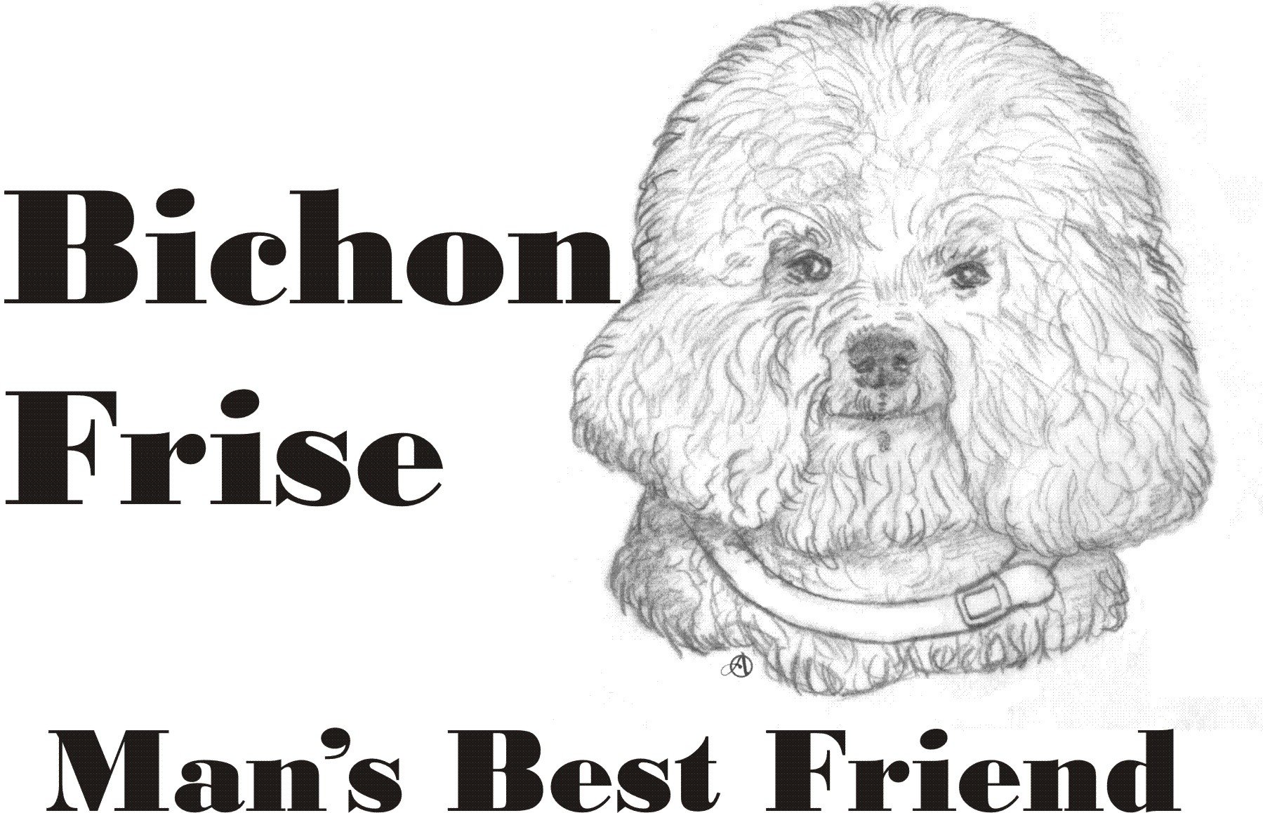 Cahoon's Closet Bichon Frise Dog Lover T-Shirt - Funny Pet Owner Apparel for Men & Women - Perfect for Dog Walks, Pet Parties & Casual Wear