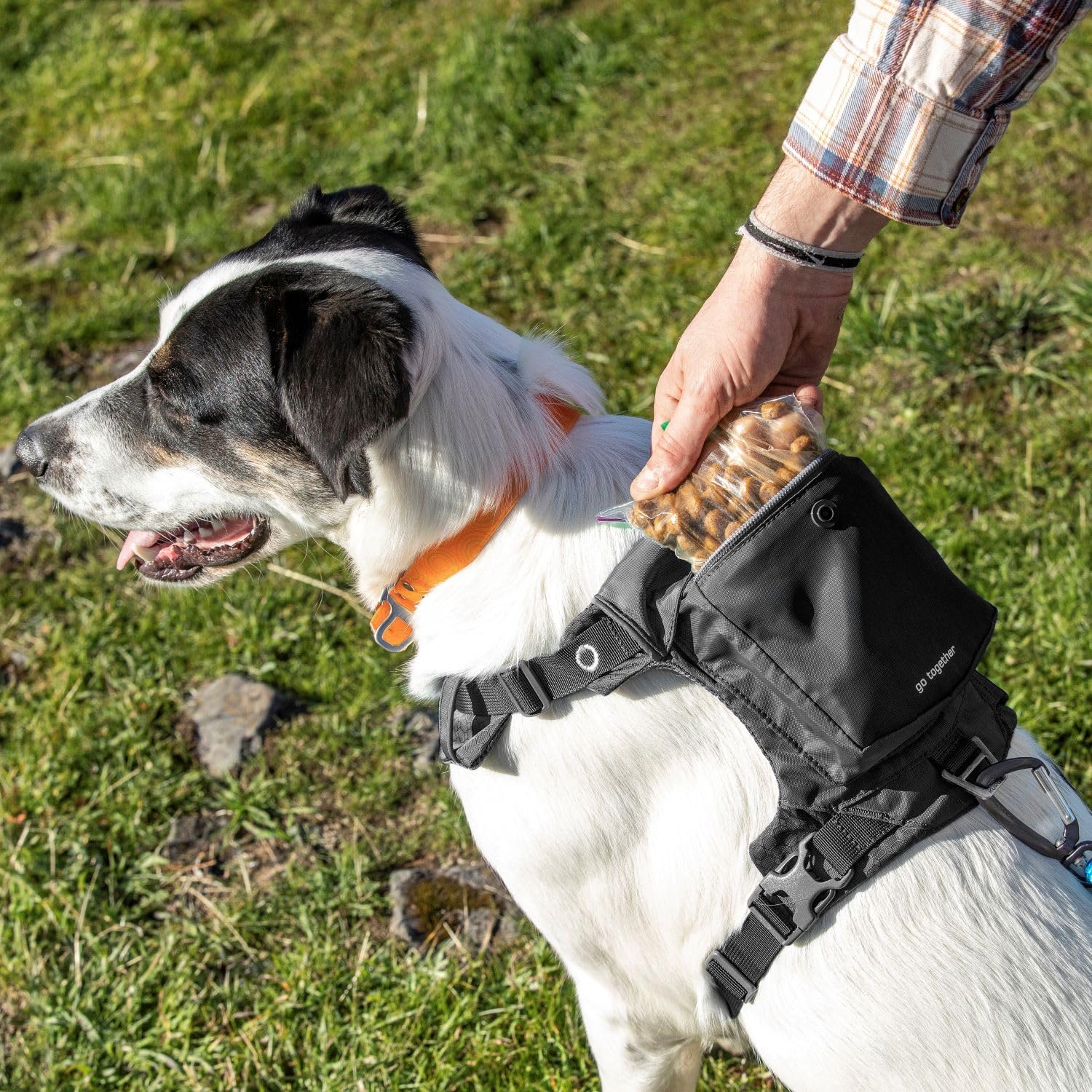 Kurgo Stash n’ Dash Dog Harness - Lightweight Reflective Vest with Pocket for Small Dogs, Folds into Pouch - Perfect for Running, Hiking & Outdoor Adventures (Black)