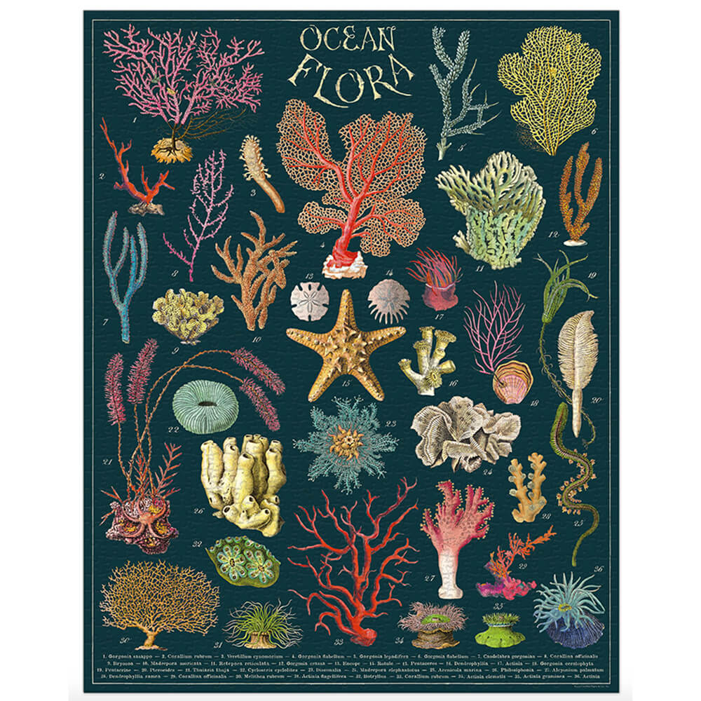 Ocean Flora 1000 Piece Jigsaw Puzzle - Beautiful Underwater Scenery for Adults & Teens - Perfect for Family Game Night & Stress Relief