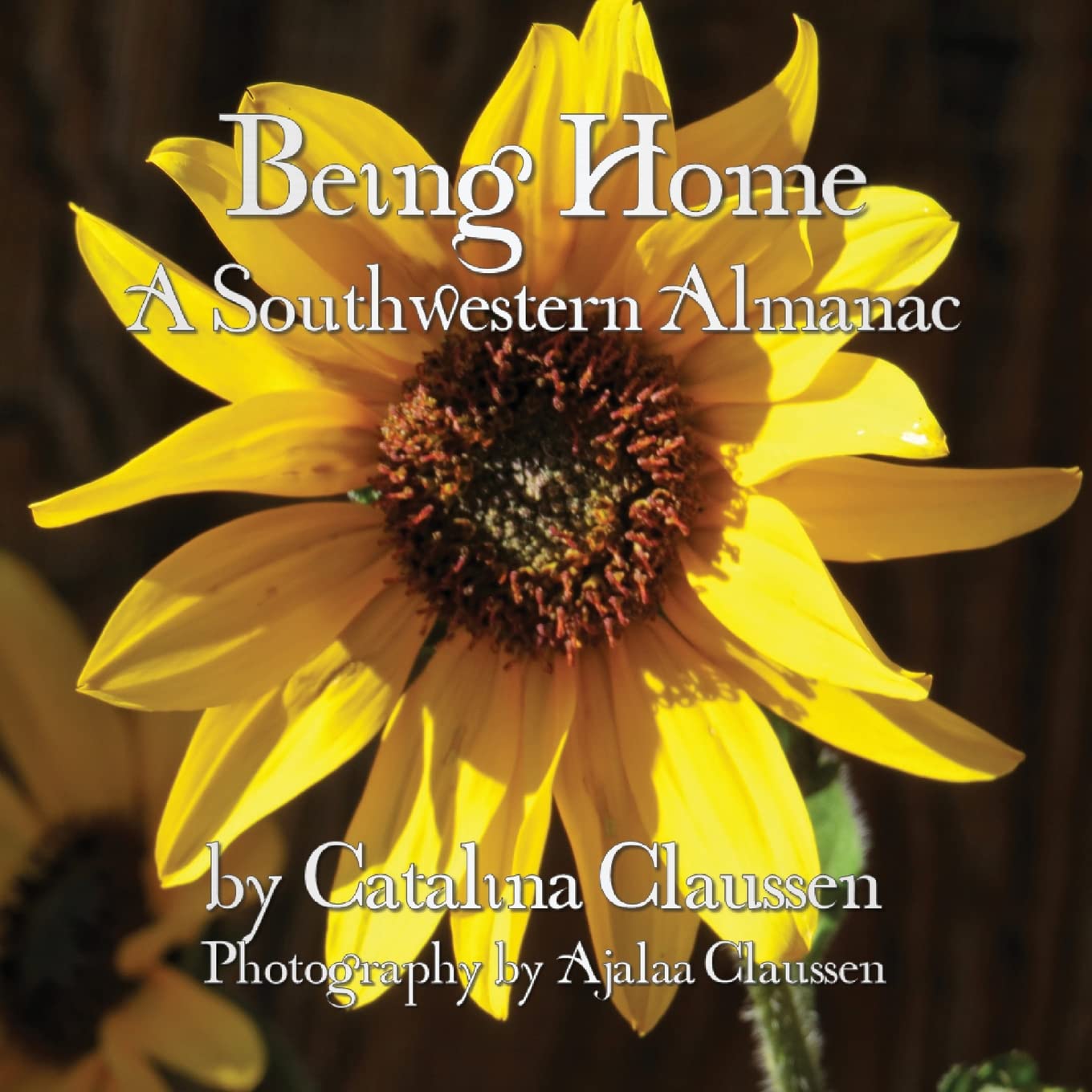 Being Home: A Southwestern Almanac - Seasonal Guide for Home & Garden | Perfect for Nature Lovers, Southwest Decor & Cozy Living