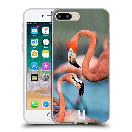 Two Great Flamingos