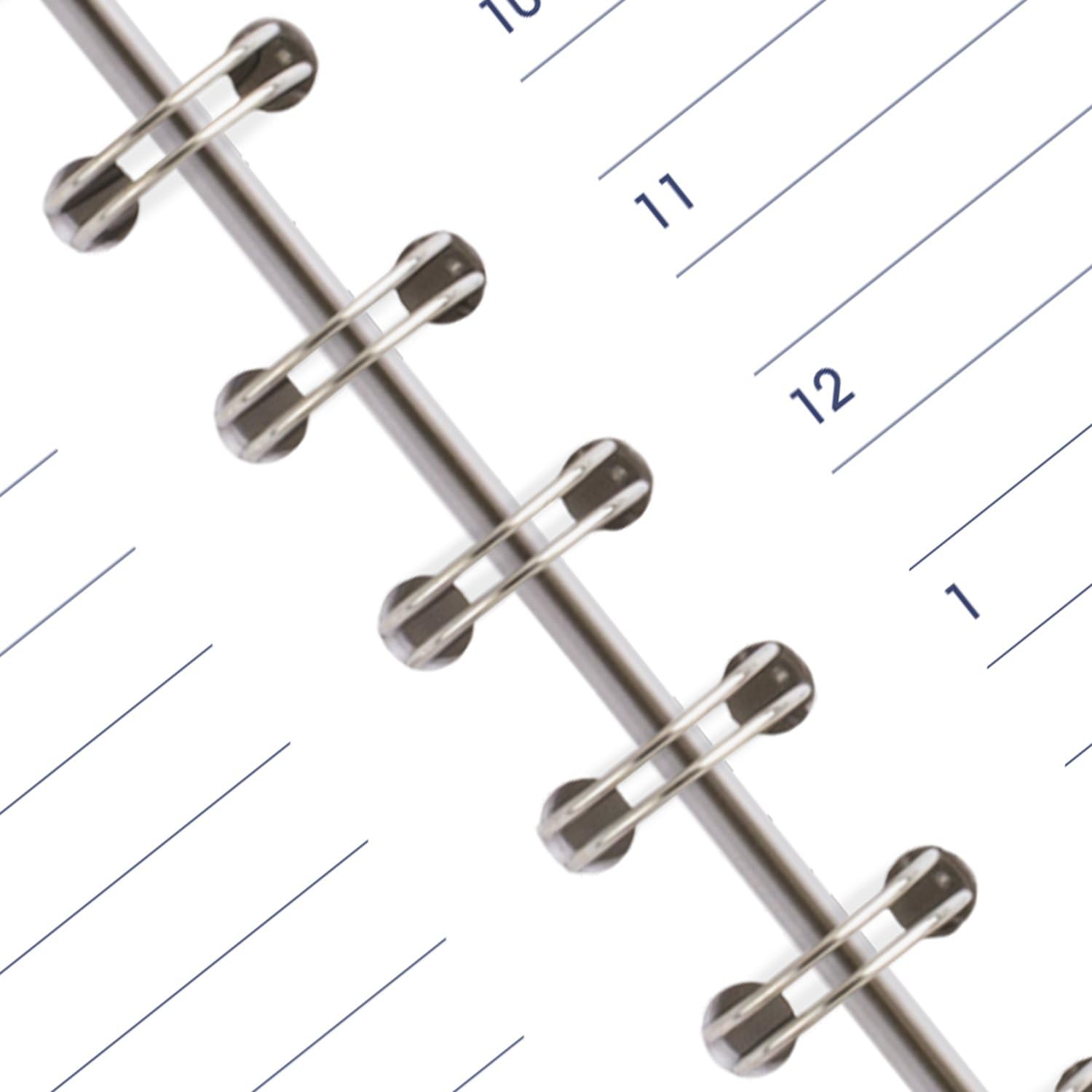 AT-A-GLANCE 2025 Daily Appointment Book Planner - 5