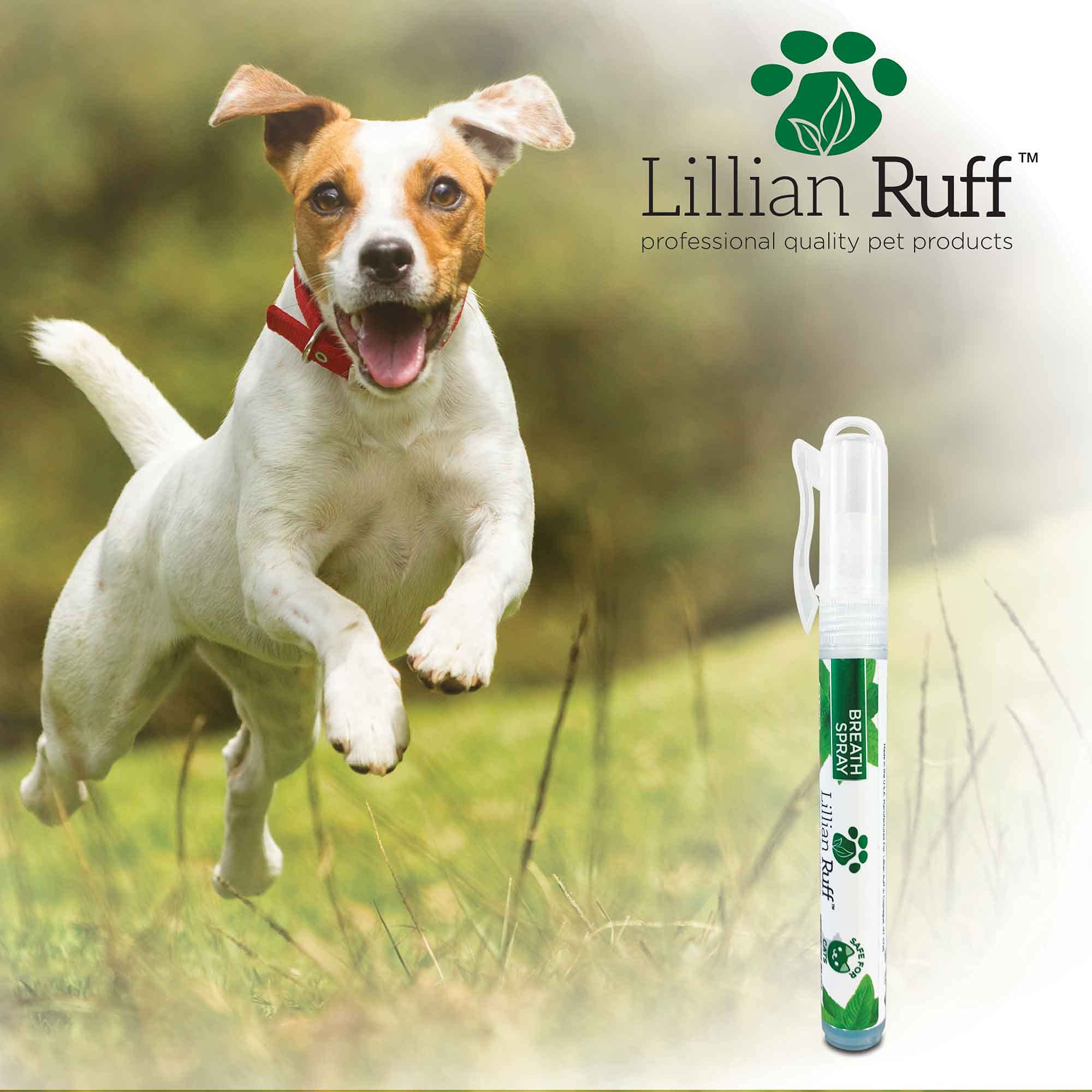 Lillian Ruff Travel Kit for Dogs - Waterless Dog Shampoo, Breath Freshener, Detangler & Ear Cleaner | Portable Grooming Spray for Airline Travel, Camping & Beach | Deodorizing Pet Care Essentials for On-the-Go Dogs