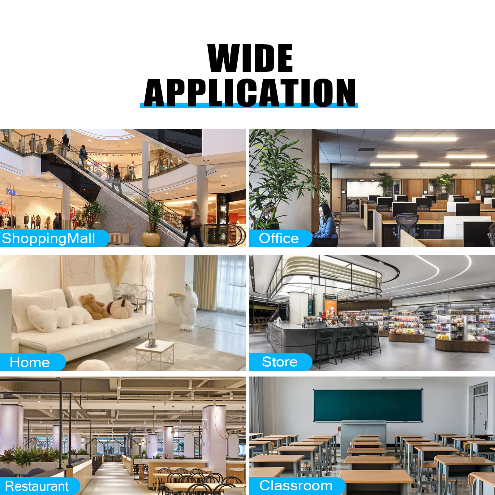 Zavekia 4 x 6 Inches Clear Wall Mount Brochure Holder - 6 Pack for Offices, Restaurants, Hotels & Retail Stores - Durable Literature & Flyer Display Organizer