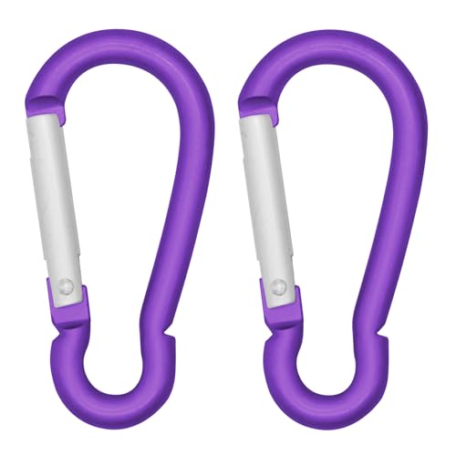HL-Purple 2PCS