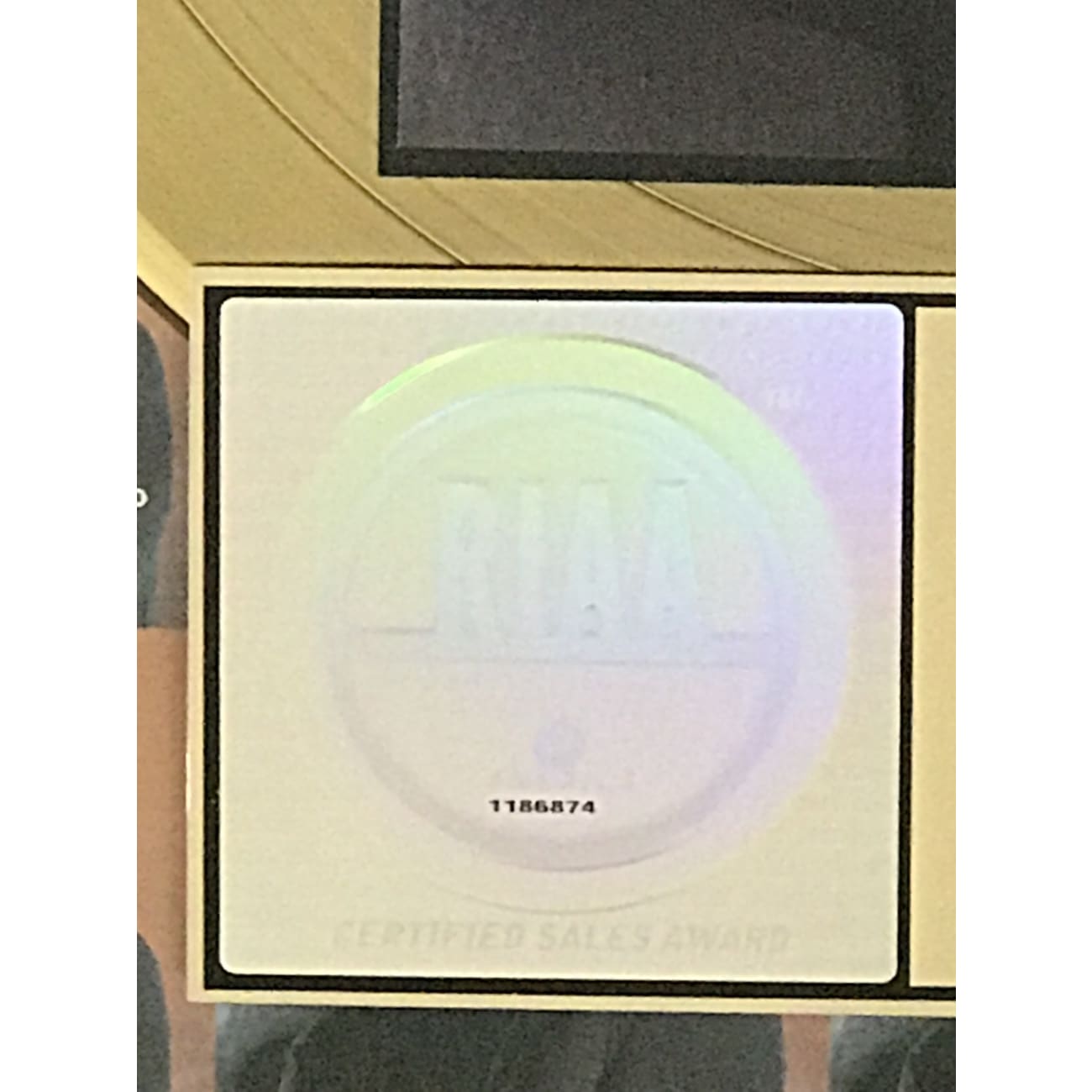 Chris Cagle Play It Loud RIAA Gold Album Award - Certified Collectible Music Memorabilia for Country Fans & Display in Home, Office, or Man Cave
