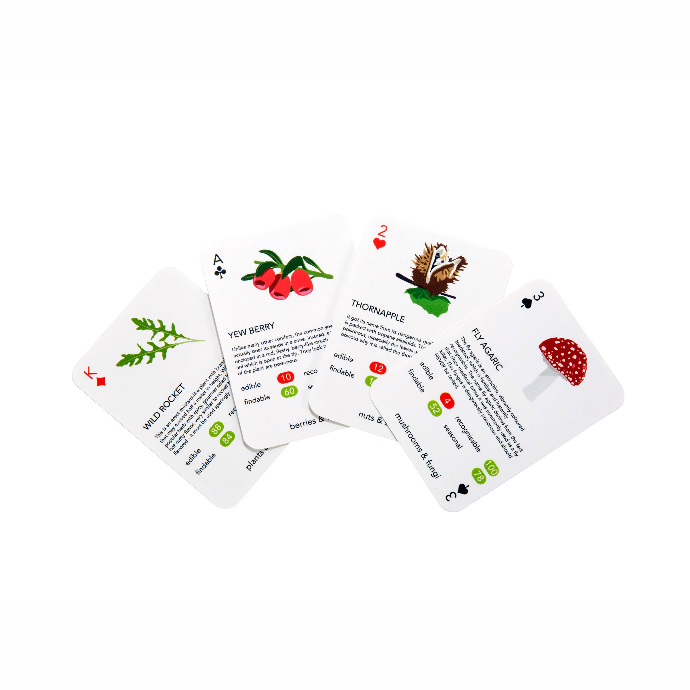 Foragers Playing Cards - Unique Nature-Themed Deck for Card Games, Magic Tricks & Collectors | Perfect for Camping, Hiking & Outdoor Adventures