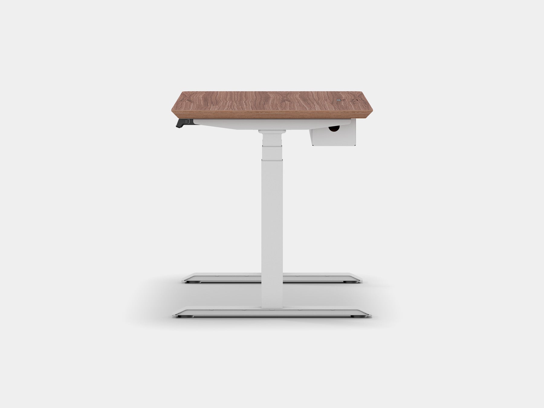 Walnut veneer