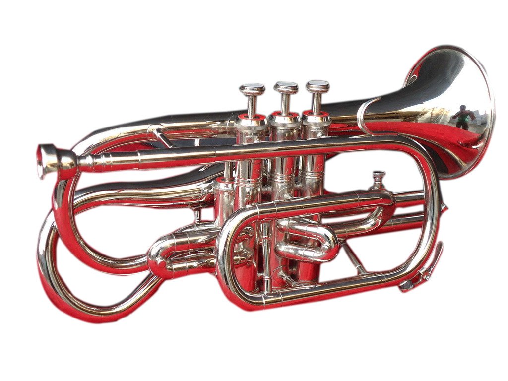 OSWAL Bb Flat Silver Nickel Echo Cornet with Free Hard Case & Mouthpiece - Perfect for Beginners, Band Performances, and Jazz Ensembles