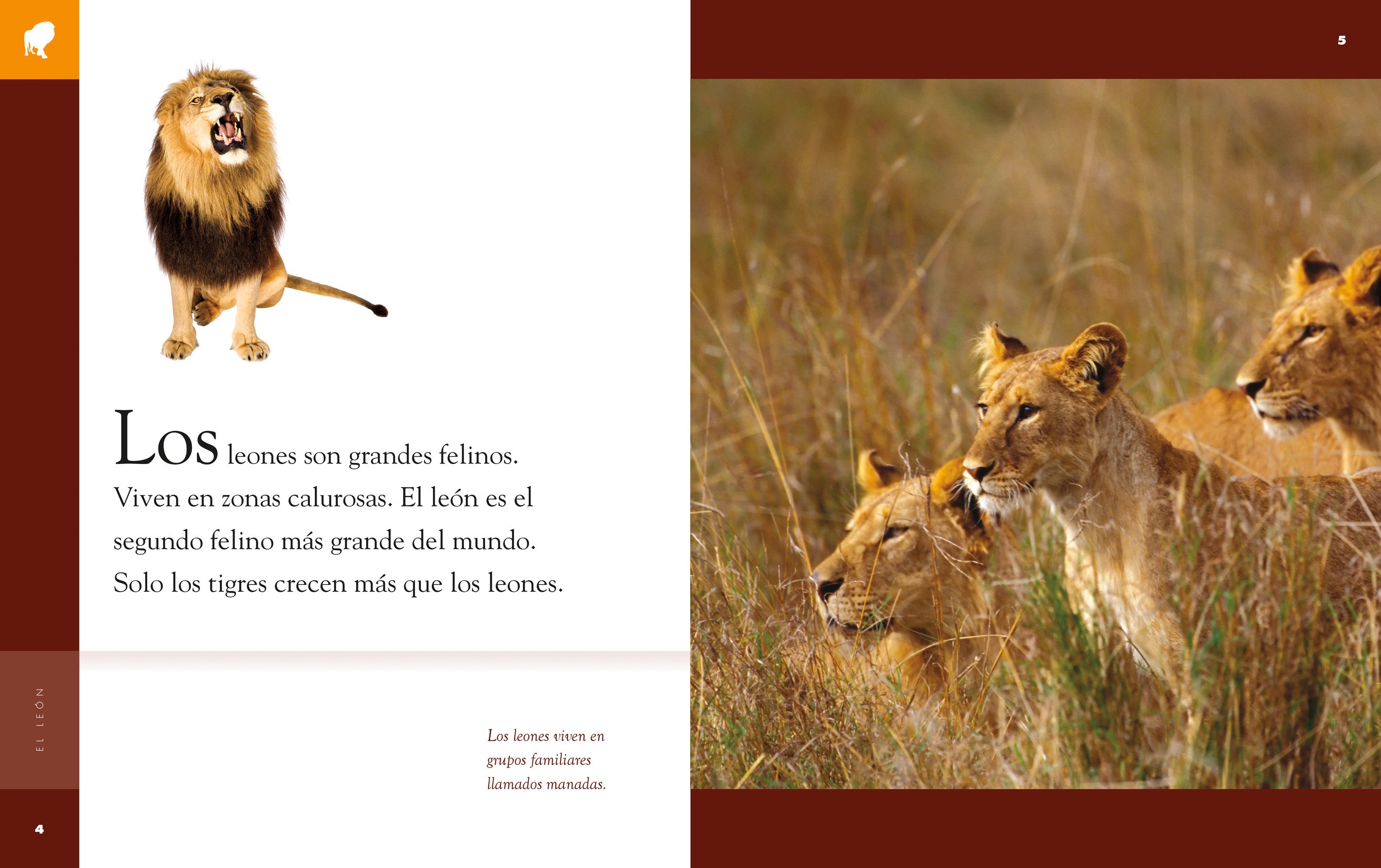El Leon 9781640262645 - Bilingual Children's Book in English and Spanish | Perfect for Storytime, Classroom Reading & Bilingual Education