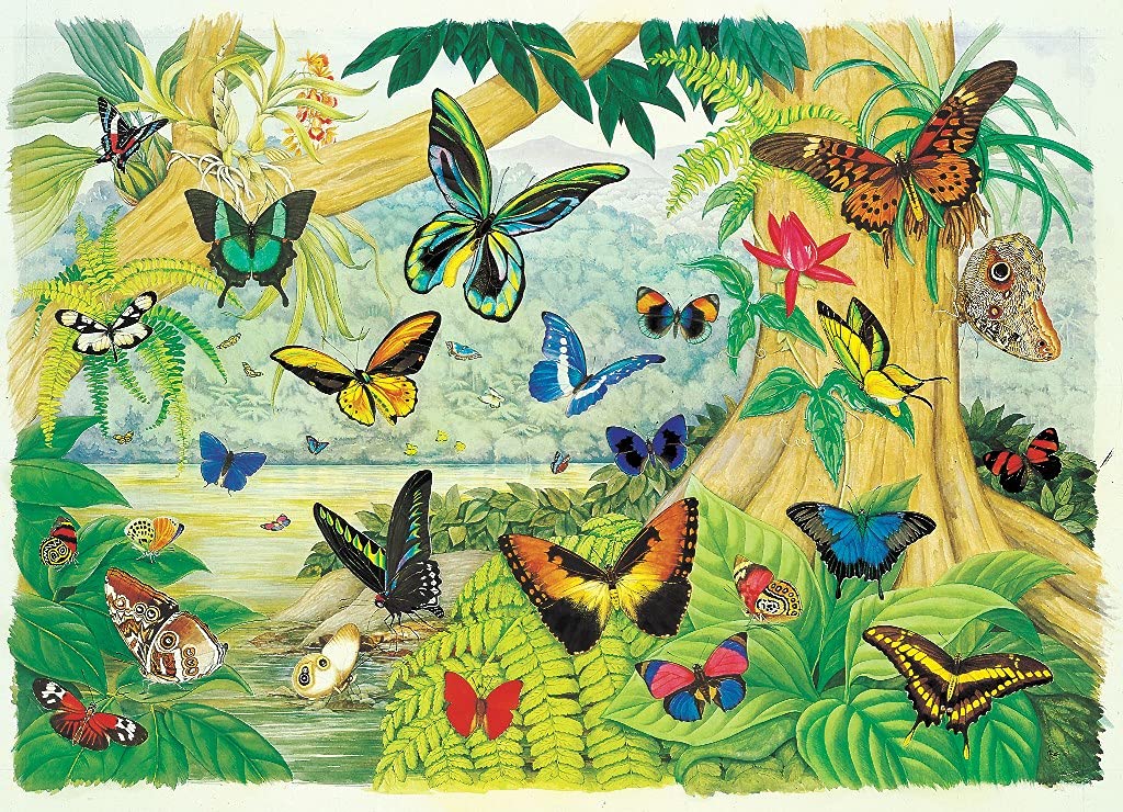 James Hamilton Flying Rainbows Deluxe Jigsaw Puzzle - 1000 Piece Premium Puzzle for Adults & Teens - Perfect for Relaxation, Family Game Night & Home Decor