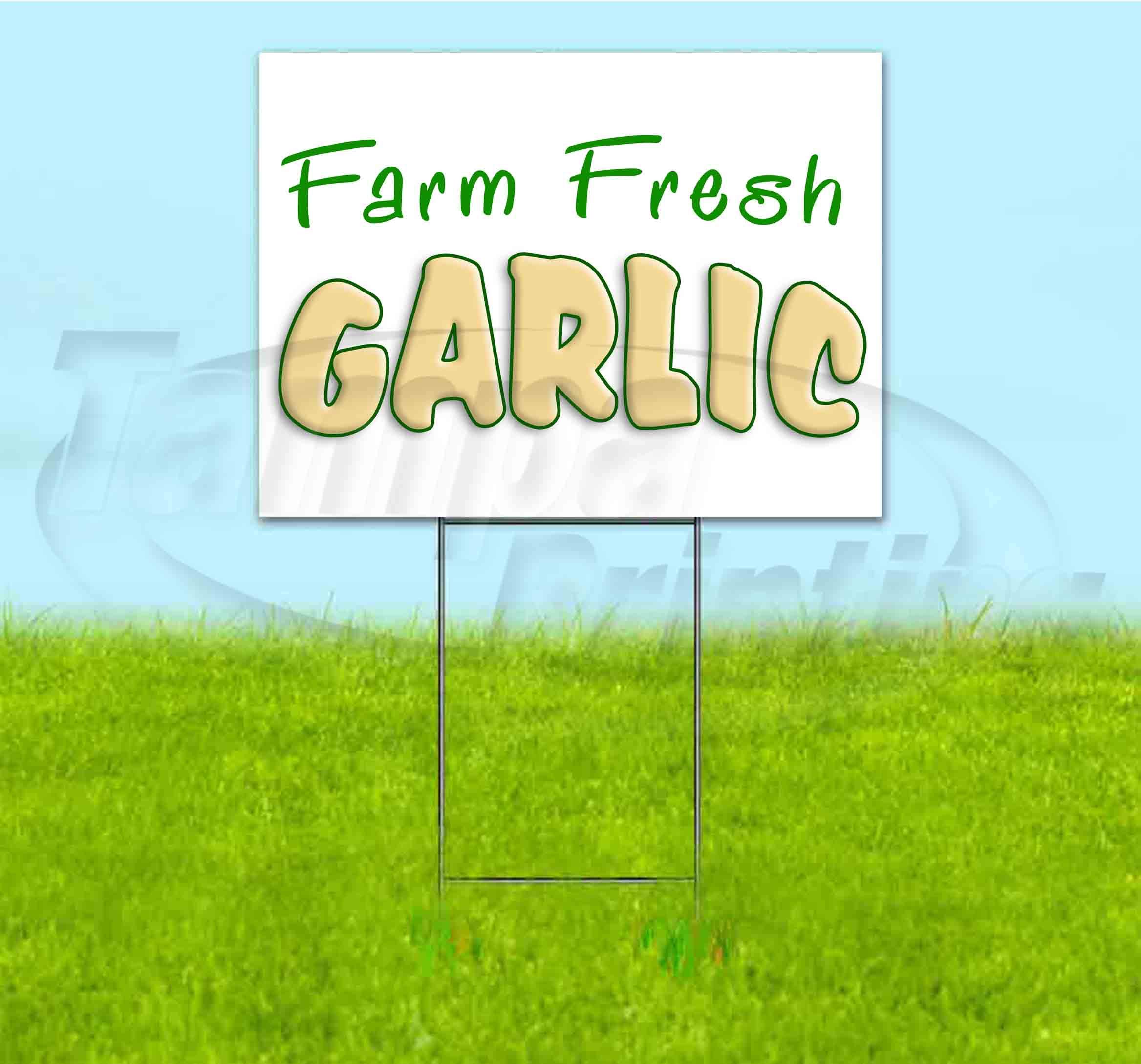 Farm Fresh Garlic Yard Sign 18x24 Inch - Durable Metal Step Stake Included - Bulk Discounts & Multi-Packs Available - Perfect for Farmers Markets, Roadside Stands & Garden Decor