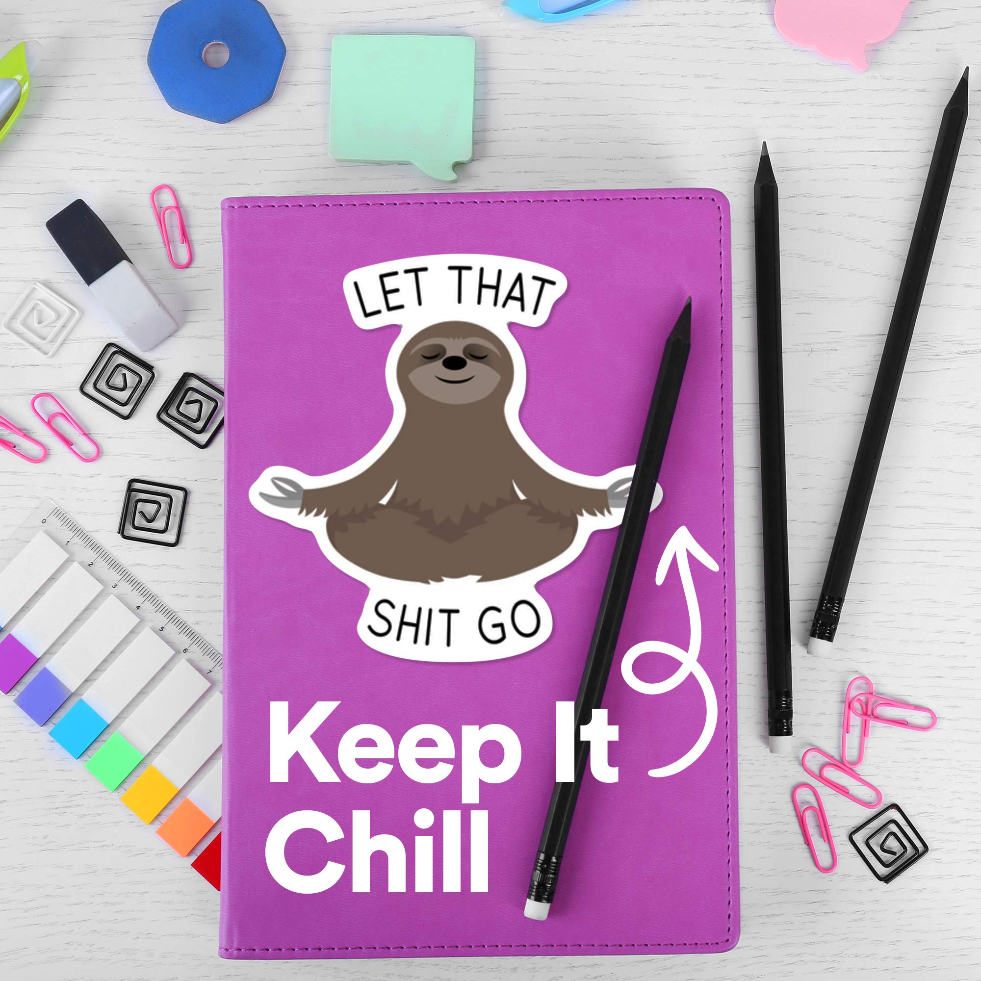 Stickeroonie Best Sellers Sticker Decals 5 Pack - Let That Shit Go Sloth, Magical AF, Fox Sake - 4
