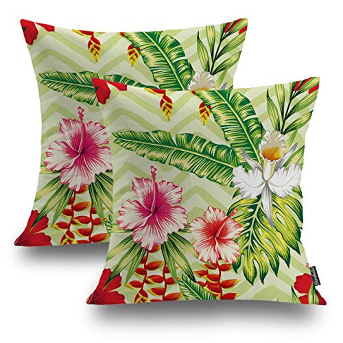 Tropical Palm