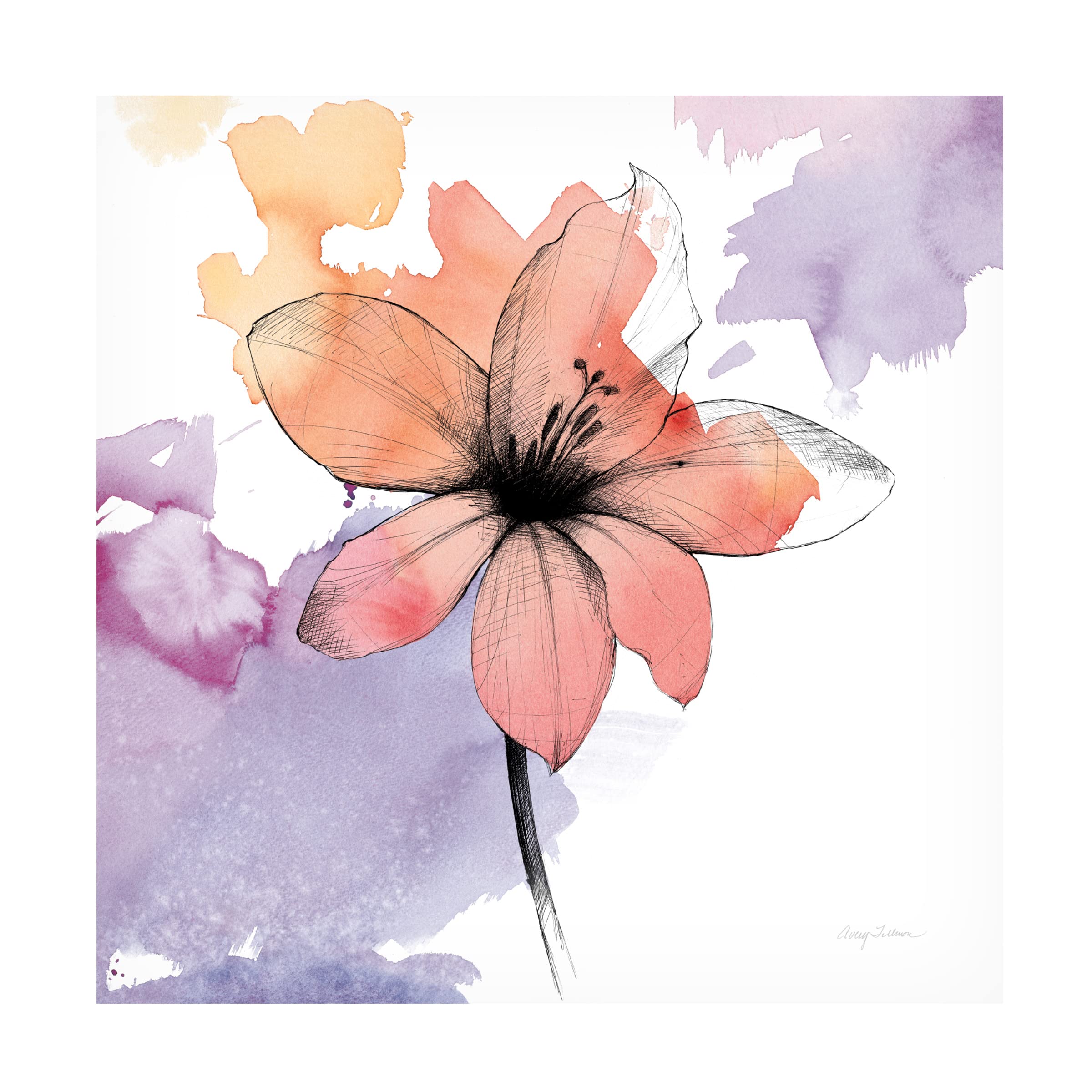 Trademark Fine Art 'Watercolor Graphite Flower II' Canvas Wall Art by Avery Tillmon - Elegant Floral Painting for Living Room, Bedroom & Office Decor