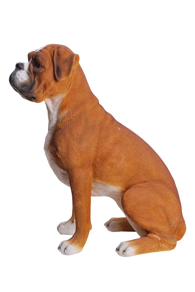 Hi-Line Gift Ltd Sitting Boxer Dog Statue - Realistic Handcrafted Home Decor Sculpture for Living Room, Office & Garden | Perfect Gift for Dog Lovers & Pet Owners