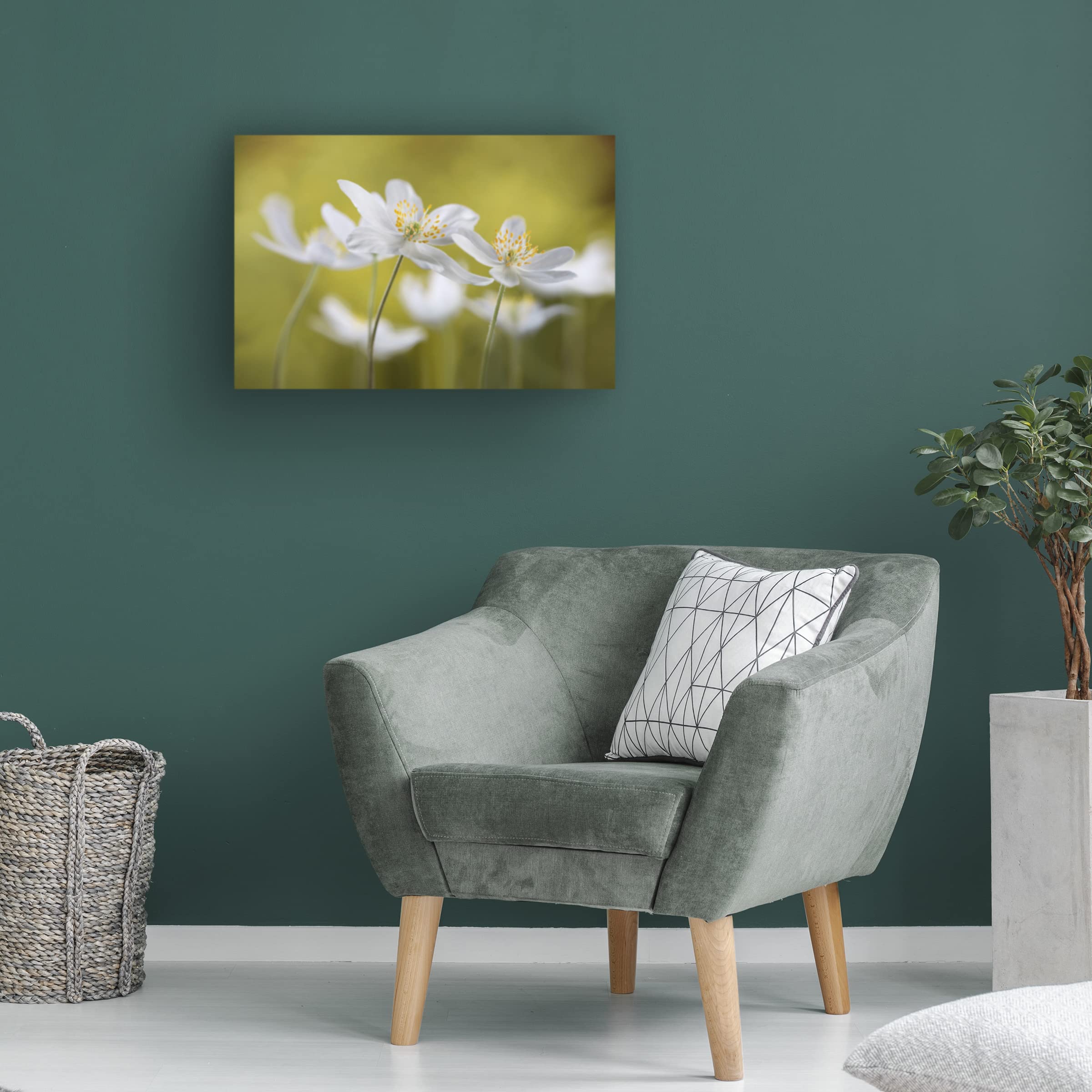 Trademark Fine Art 'Wood Anemones' Canvas Wall Art by Mandy Disher - Floral Home Decor for Living Room, Bedroom & Office
