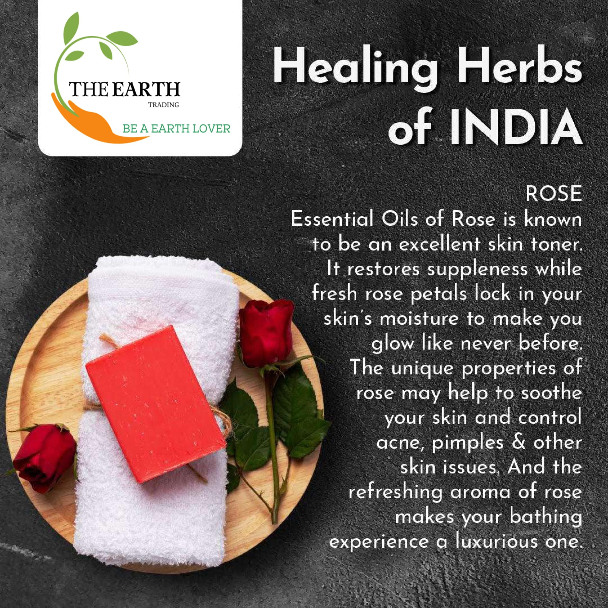 NATSBYTE Organic Rose Bath Soap - 100% Natural Handmade Chemical-Free Soap for Men & Women (3-Pack) | Gentle Cleansing for Sensitive Skin, Perfect for Daily Shower & Spa Relaxation