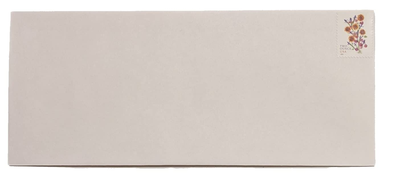 100 #10 Self-Seal Security Envelopes (4-1/8 x 9-1/2 Inches) with Forever Stamps - USPS Approved for Mailing Letters, Bills & Documents - Bulk Pack for Office, Business & Home Use